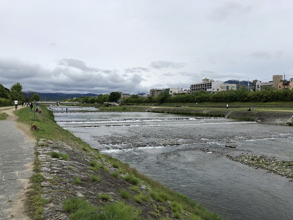 鴨川沿いを散歩1