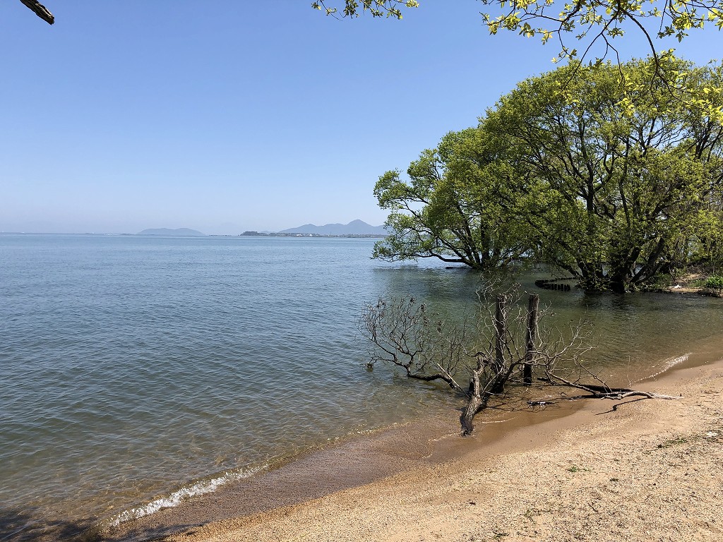 琵琶湖畔を散策3