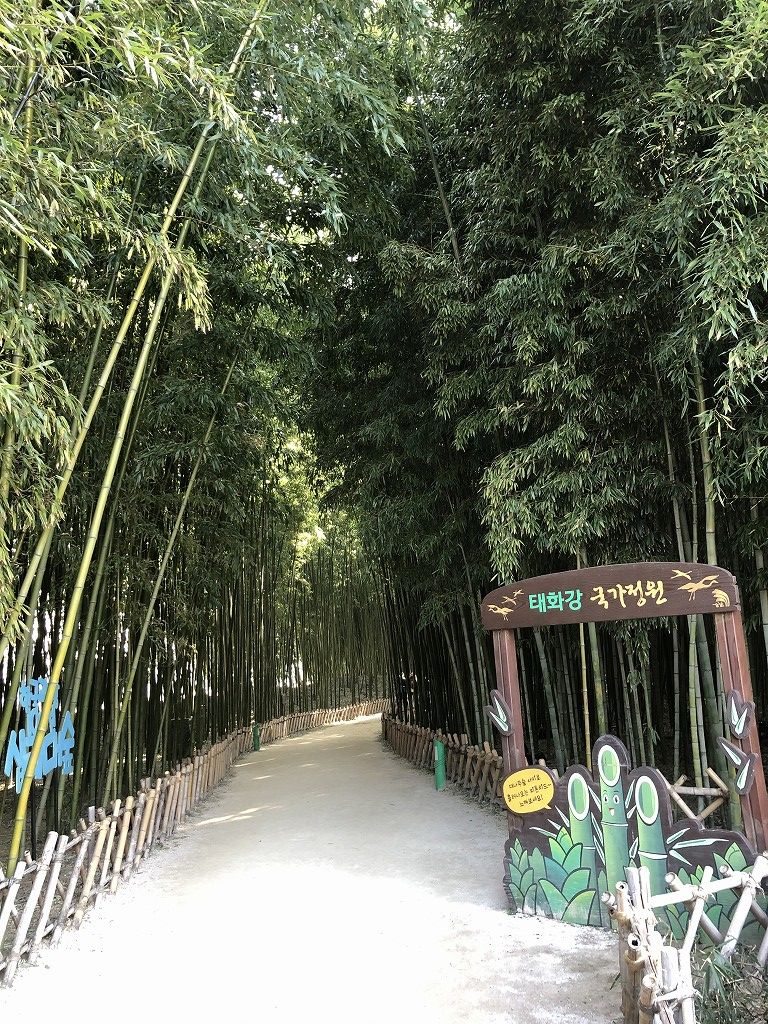 テファガン国家庭園の十里竹林2