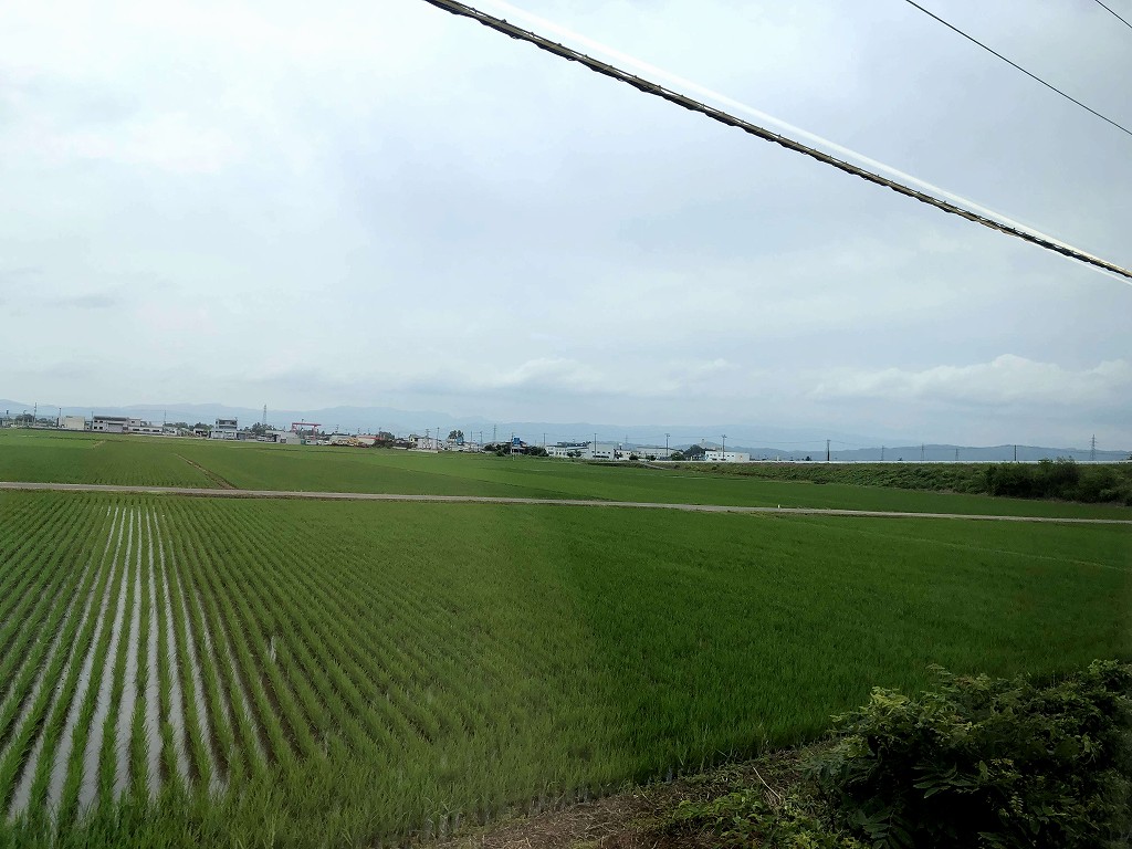 田植えが終わってしばらく田園