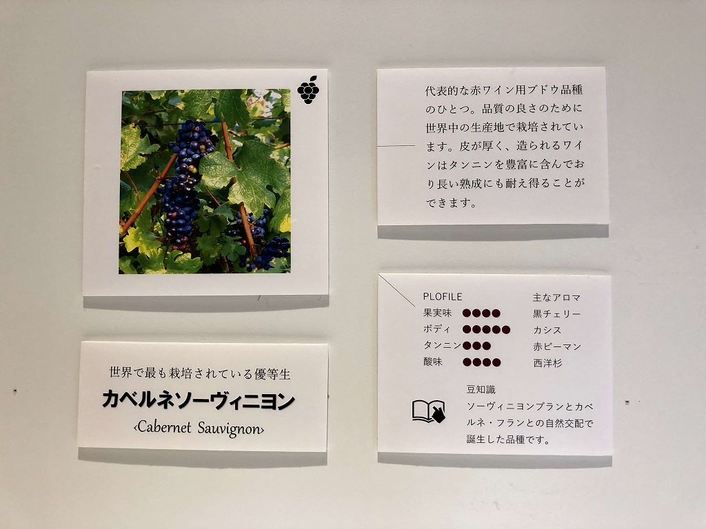 高畠ワイナリーの建物内4