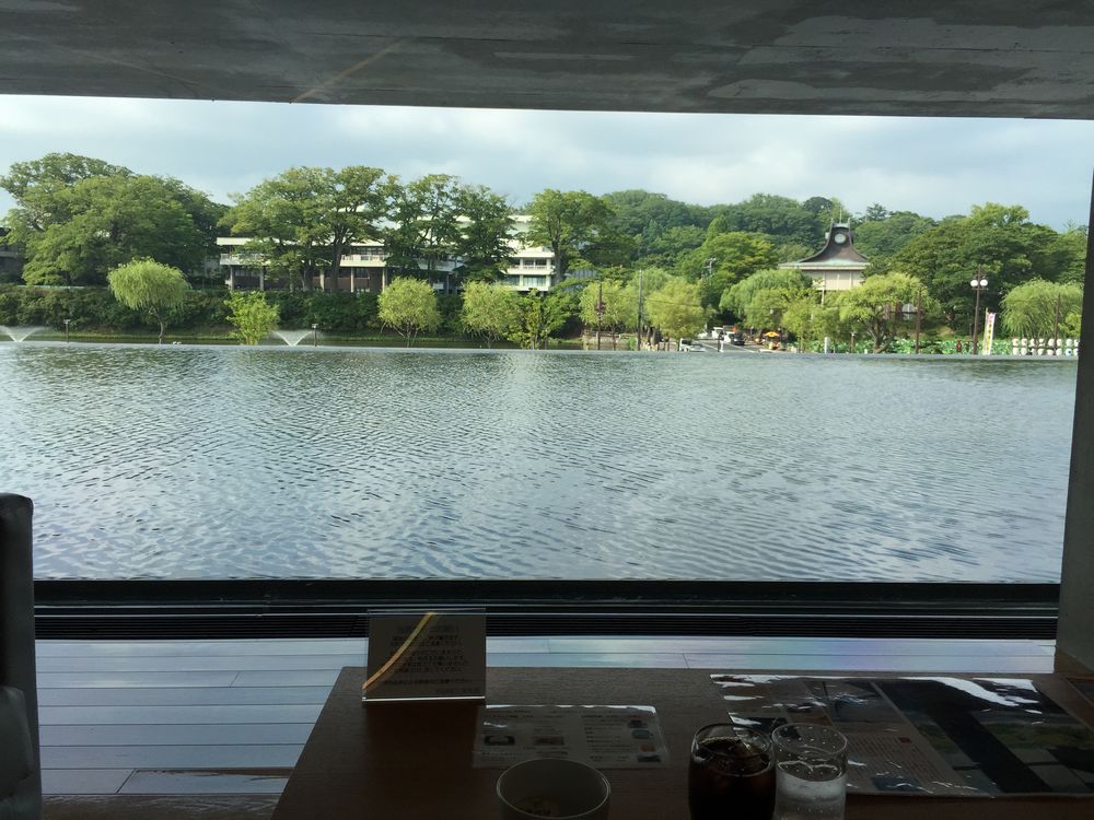 秋田県立美術館のカフェから見た水庭とお濠2