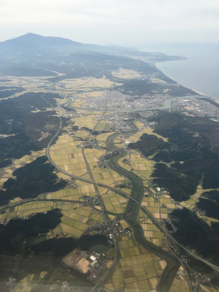 米の収穫前の秋田平野
