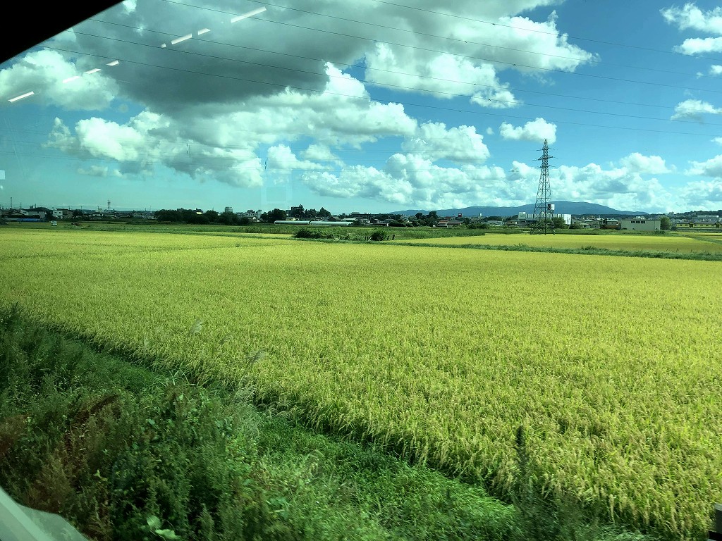 八戸線の田園地帯
