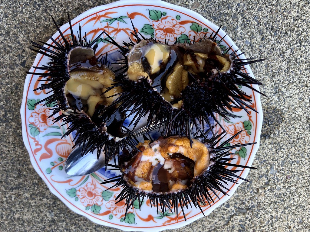 小袖海岸でウニを食べる