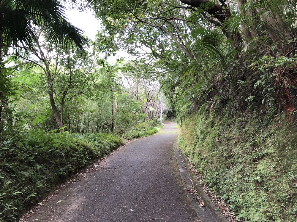 おがみ山公園の坂道2