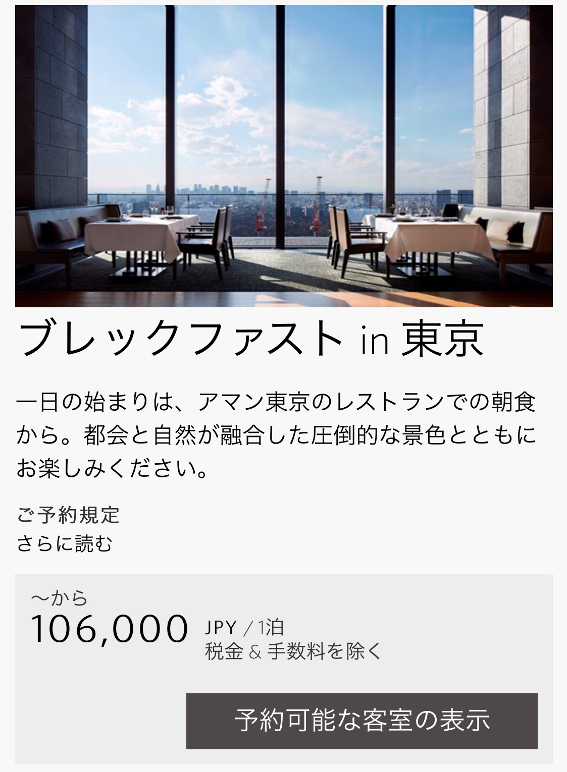 アマン東京の公式サイト2