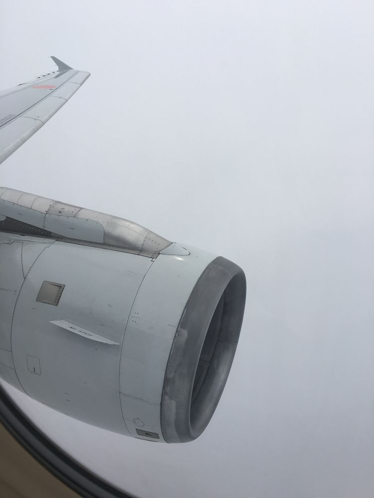ANA383の機窓の風景（曇り）