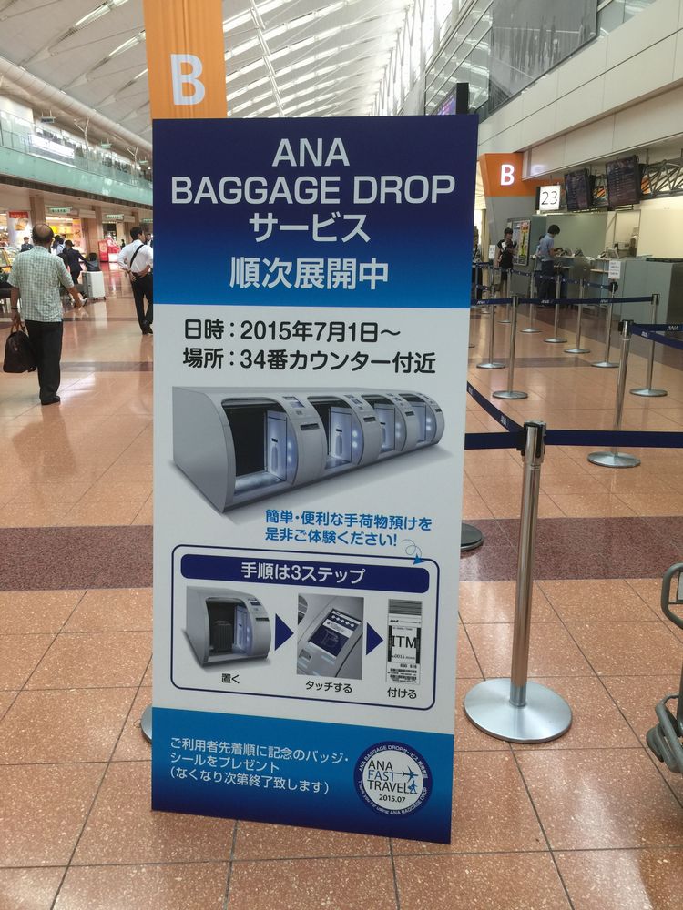 ana baggage