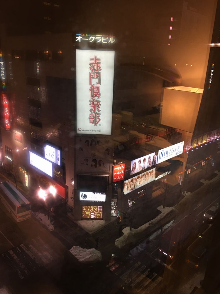 ANAホリデイ・イン札幌すすきのの窓外の風景