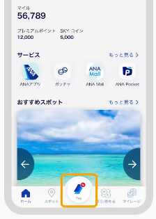 ANA Payアプリの「Pay」マーク
