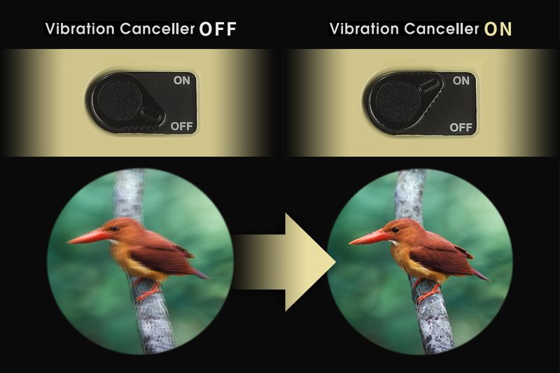 Vixenの防振双眼鏡のブレ補正効果