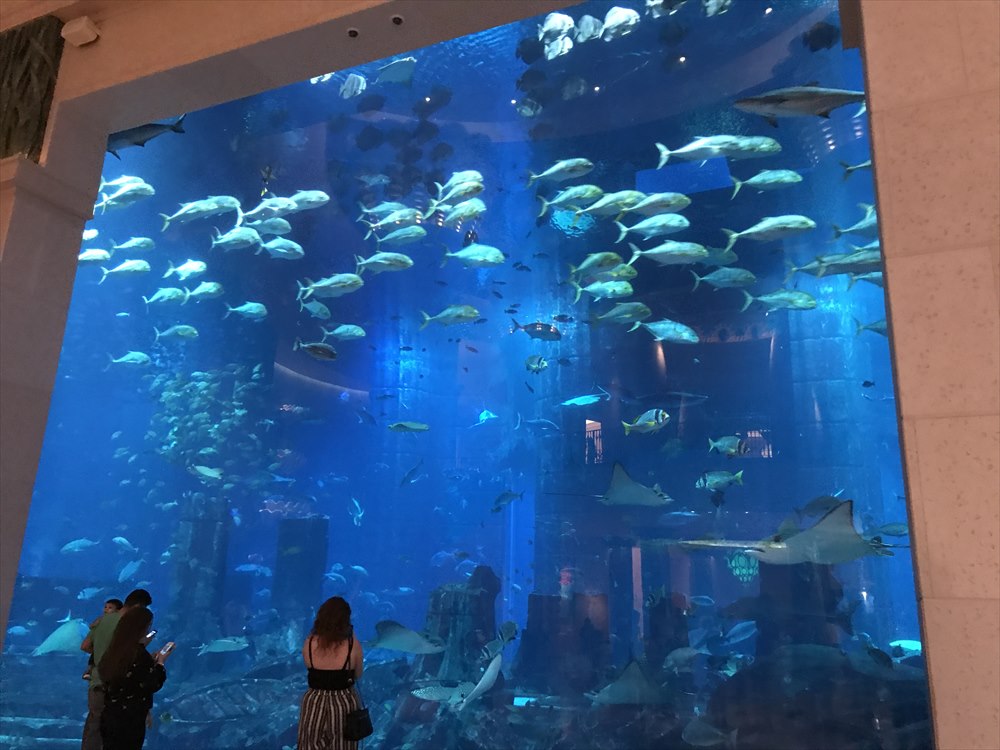 アトランティス・ザ・パームの巨大水族館