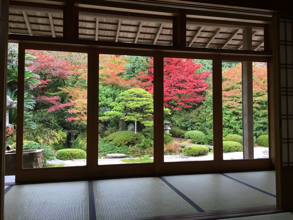 月照寺の庭の紅葉1
