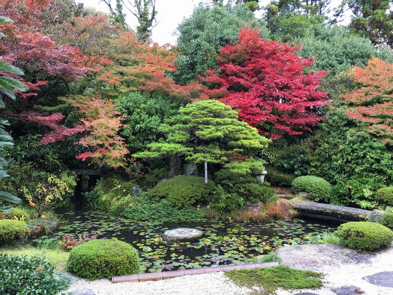 月照寺の庭の紅葉2