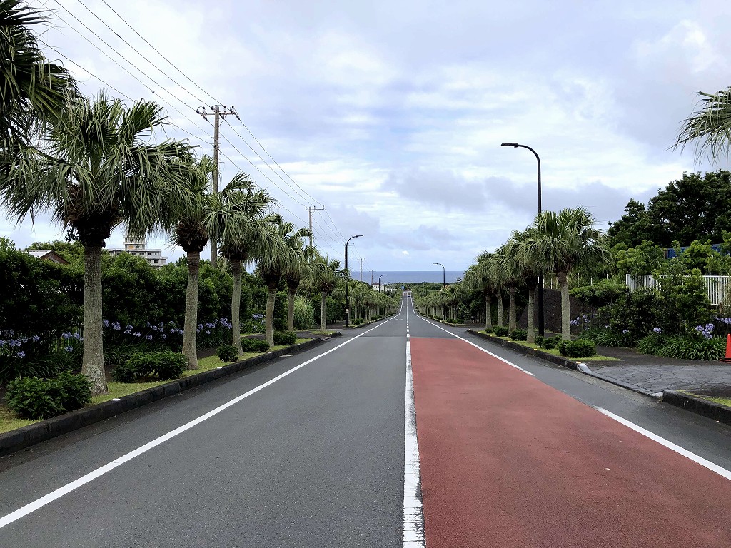 八丈島の底土港への下り坂