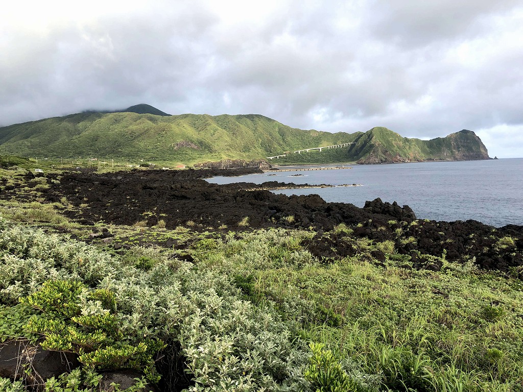 八丈島の緑が染みる