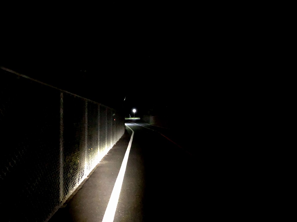 八丈島の夜道