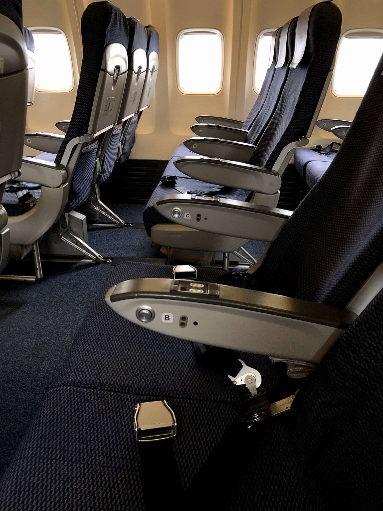 八丈島空港のアカコッコで明日葉の団子