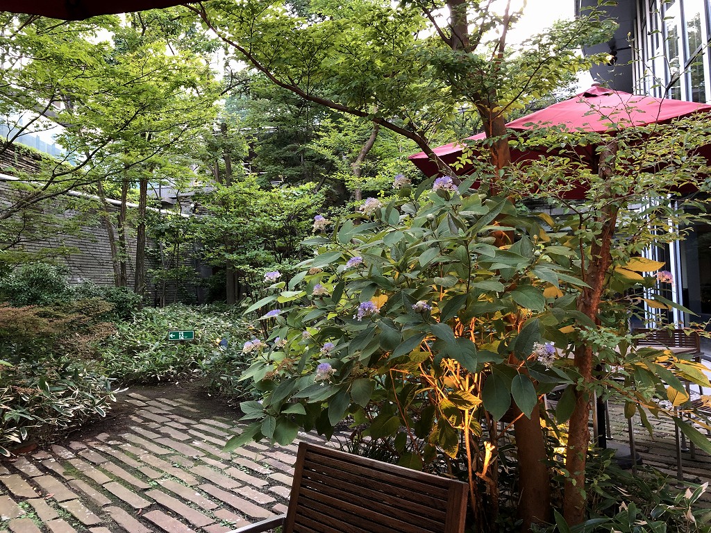 ハイアットリージェンシー箱根リゾート＆スパの中庭の紫陽花
