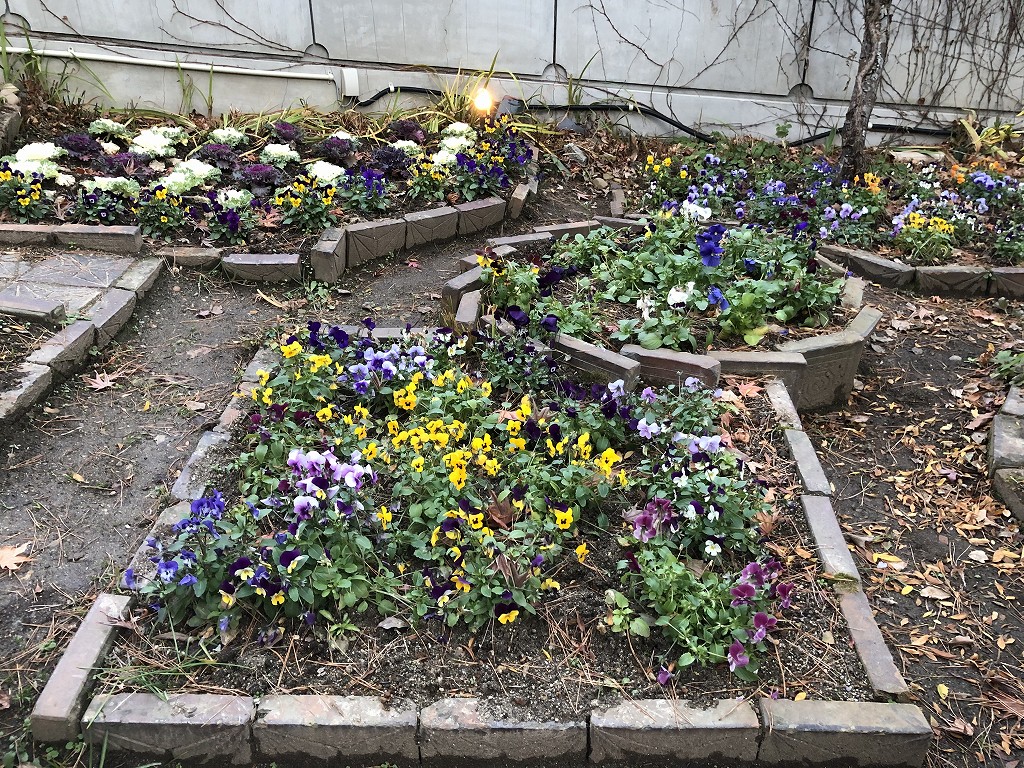 花巻の茶寮かだんの花壇3