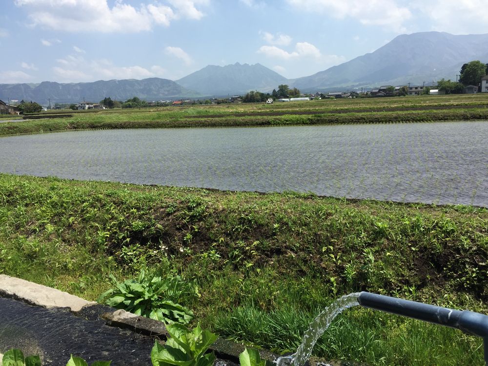 ヒバリカフェ周辺の田園風景画像