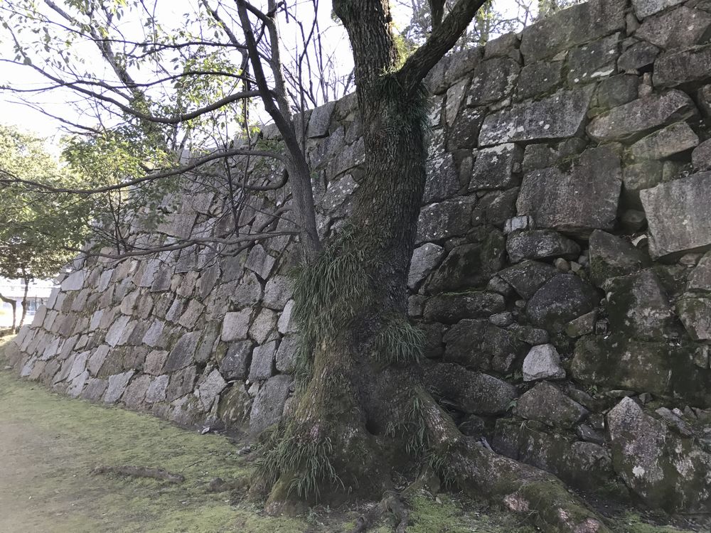 広島城の福島正則時代の打ち込みハギの石垣