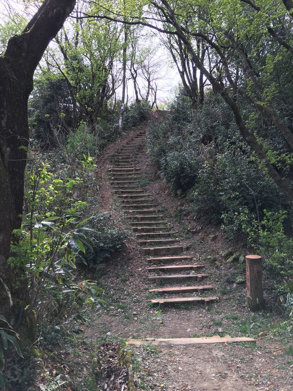 白鳥城址の急峻な坂道1
