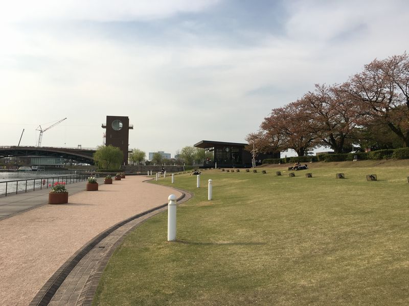 富山の富岩運河環水公園のスタバと桜1