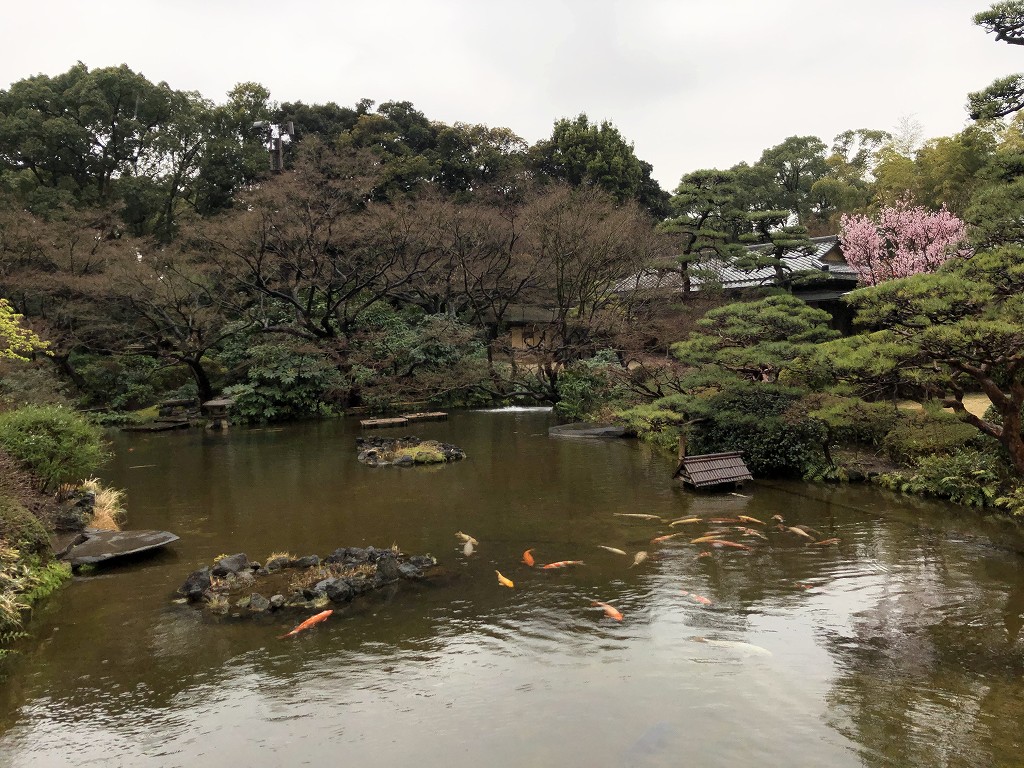 ホテルニューオータニの日本庭園を散策（昼）2