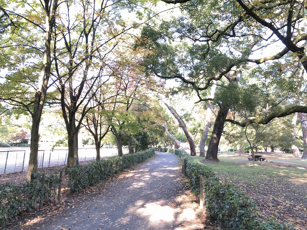 京都御苑の非・密な空間1
