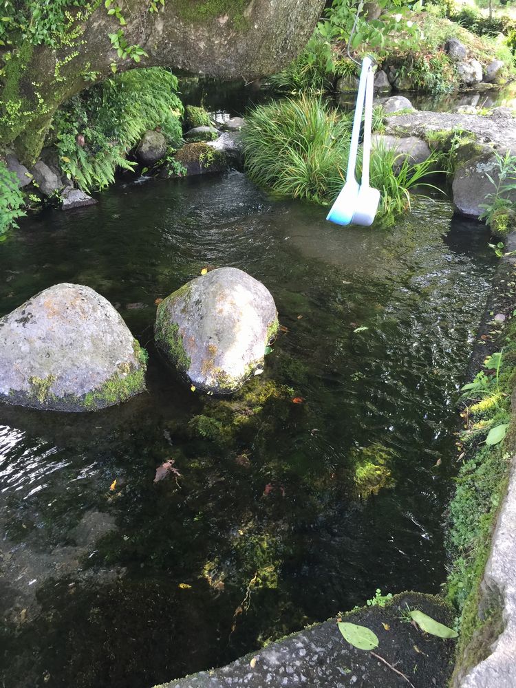 池の川水源画像