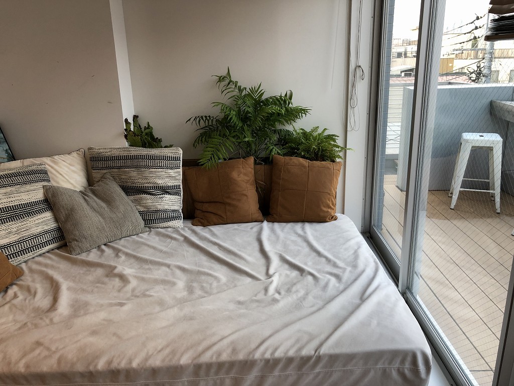 illi Shimokitazawaの301号室の植物2
