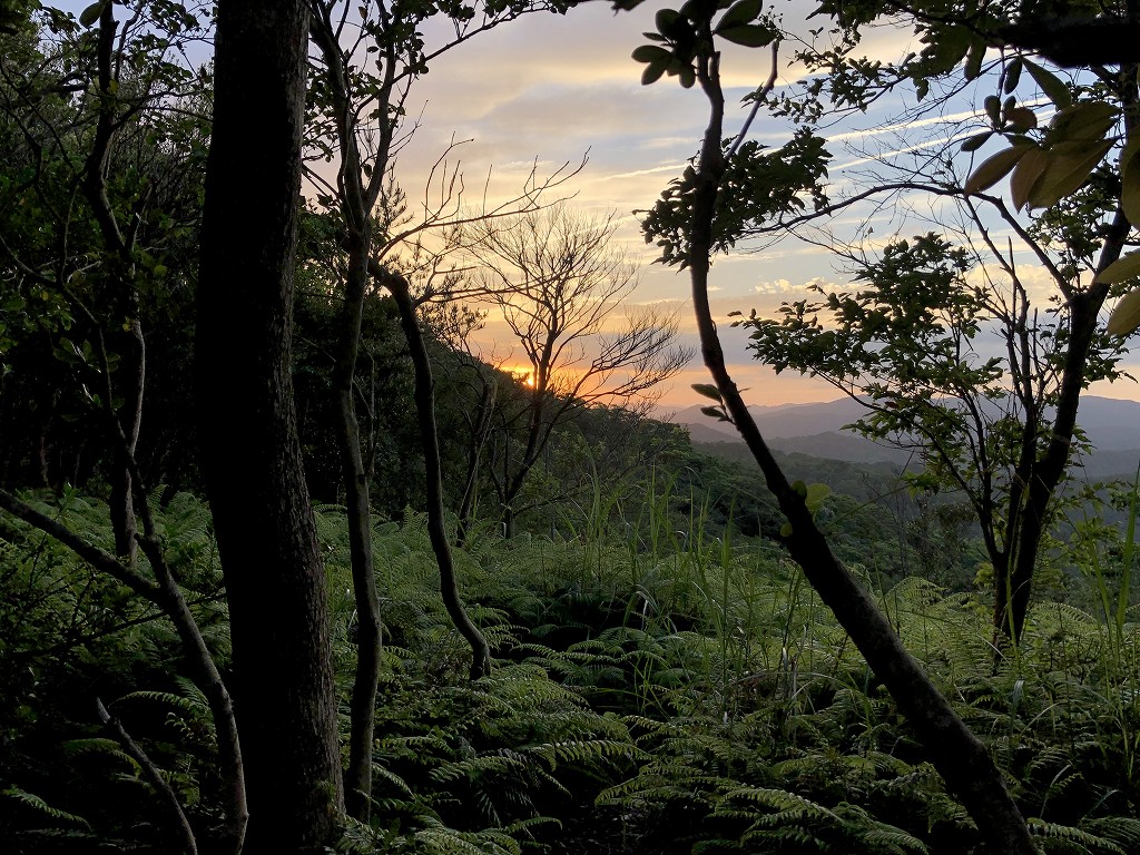 横山展望台から夕日