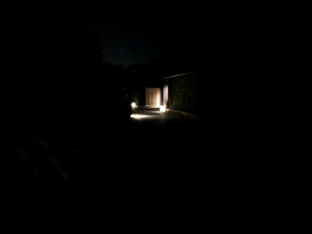 夜の暗いアマネムのゲストスイートの通路2