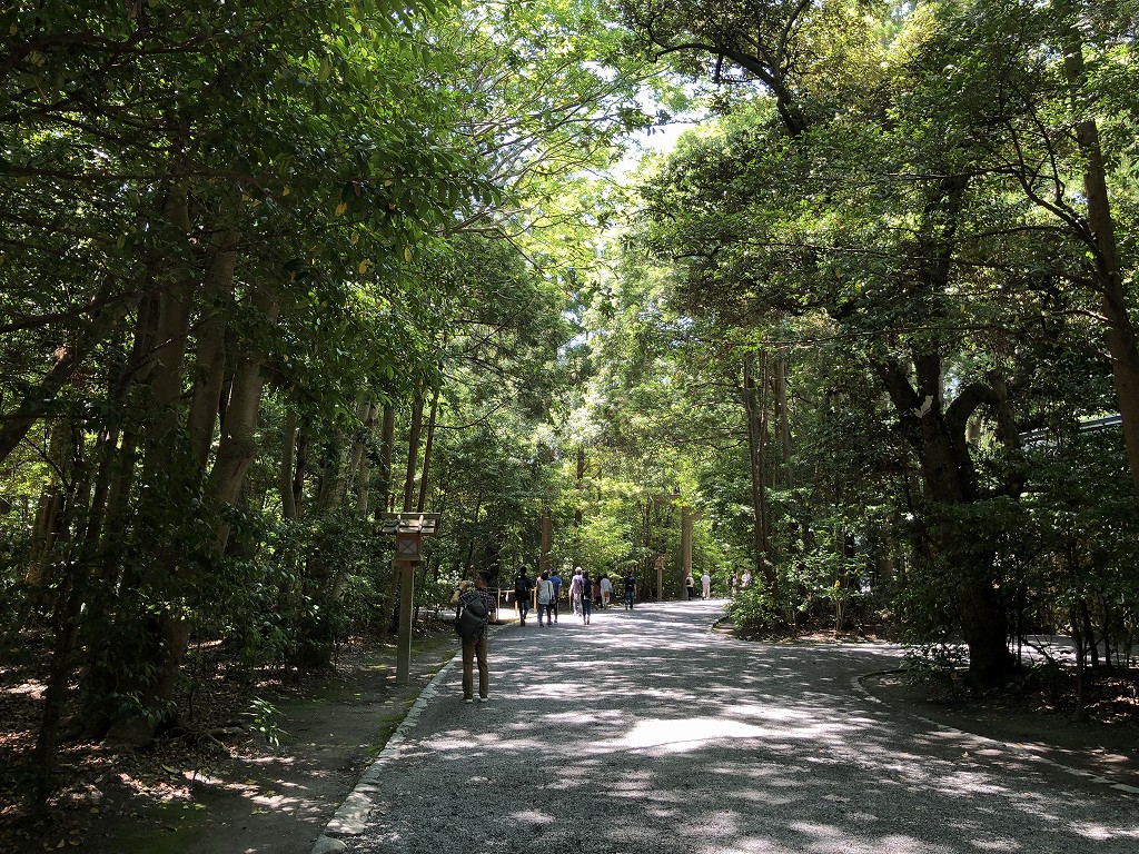 伊勢神宮の外宮の木もれ陽の参道2