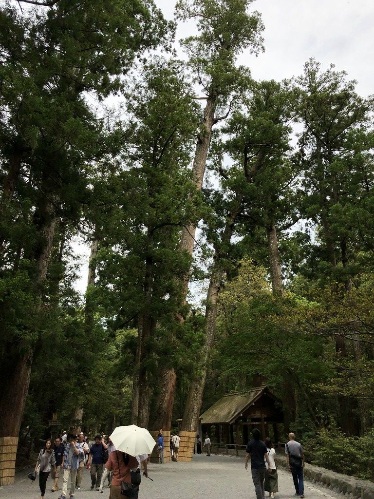 伊勢神宮内宮の参道2