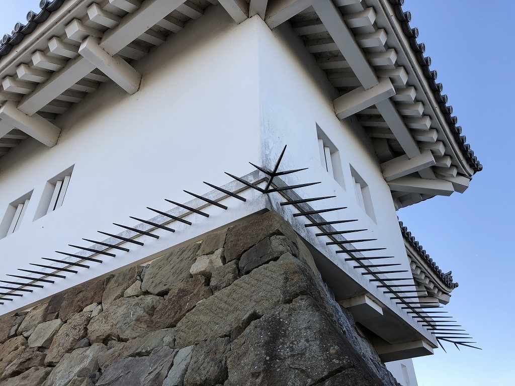 掛川城の忍返