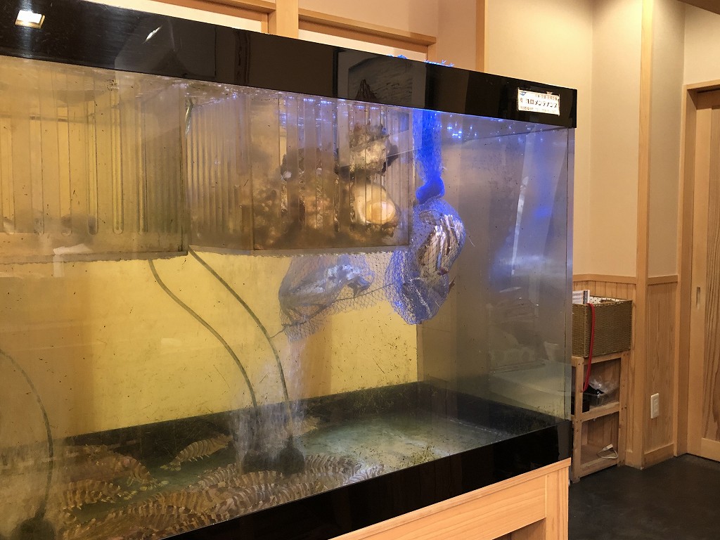 磐田の寿司好の水槽