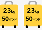 JAL国際線プレミアムエコノミークラスの無料となる寄託手荷物の許容量（一般会員）