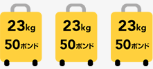 JAL国際線エコノミークラスの無料となる寄託手荷物の許容量（JGC会員）