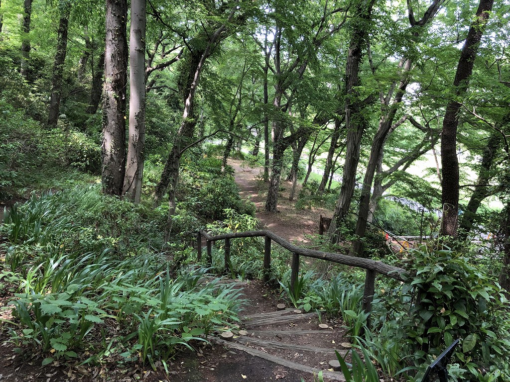 深大寺城跡から水生植物園へ1