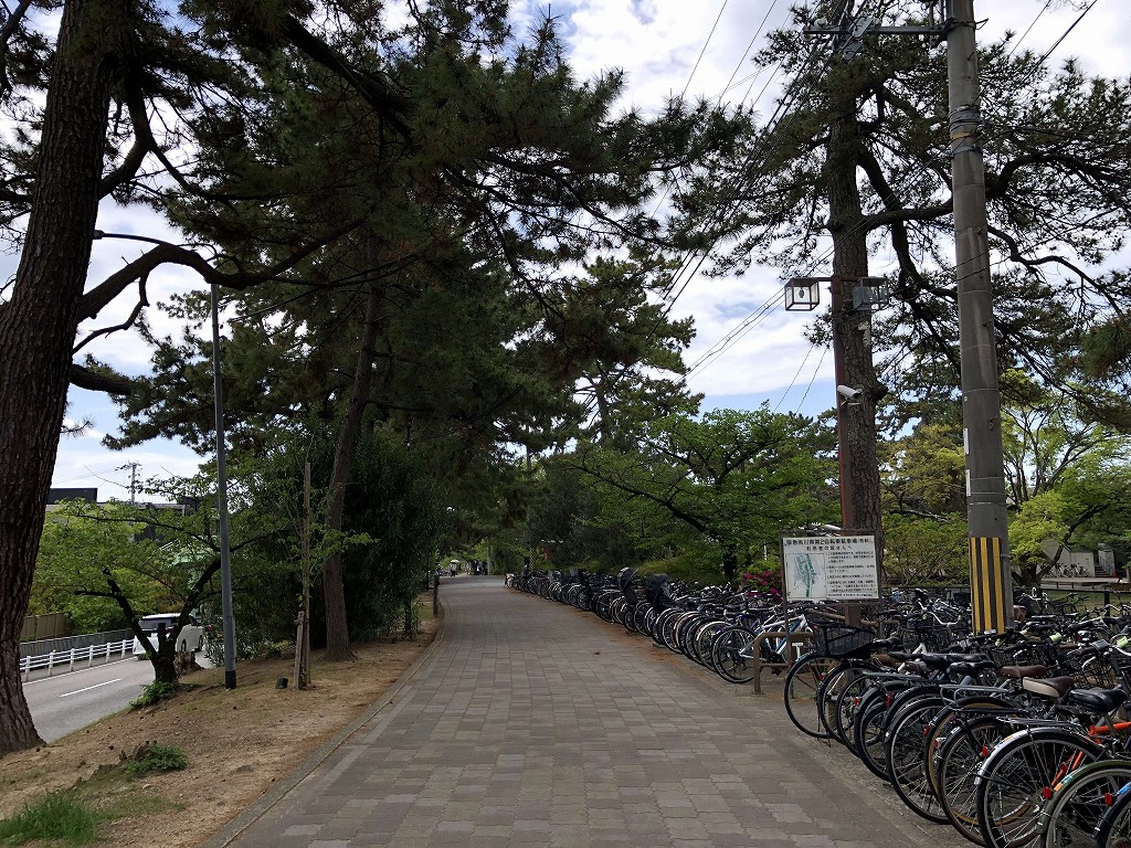 夙川沿いの遊歩道1