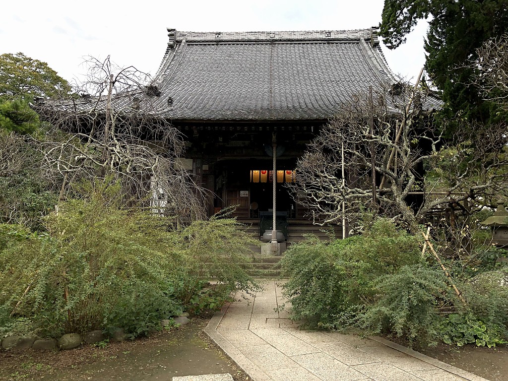 鎌倉の宝戒寺の白萩