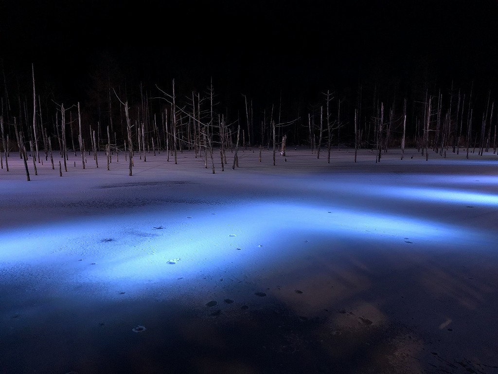 白金青い池のライトアップ3