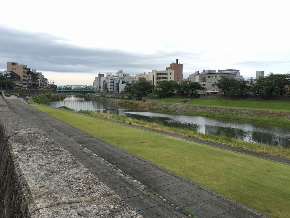 犀川河畔の芝生