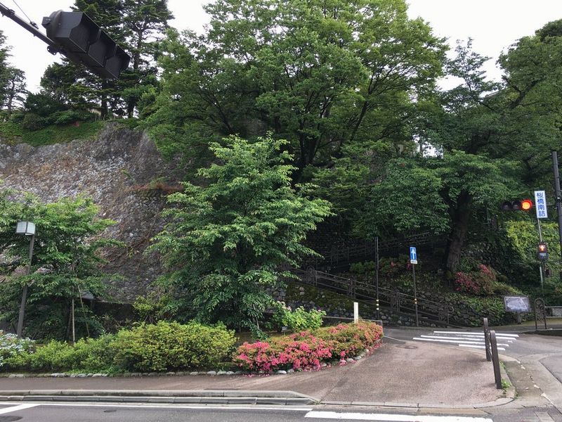 犀川河畔の寺町台の崖