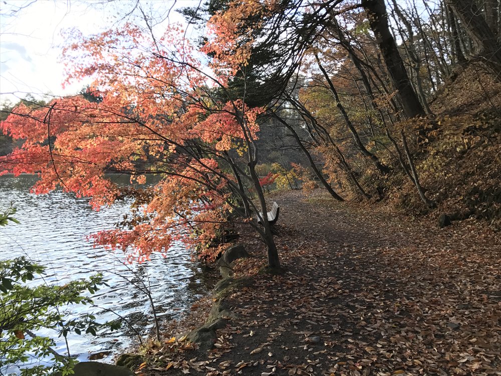 塩沢湖の湖畔の道