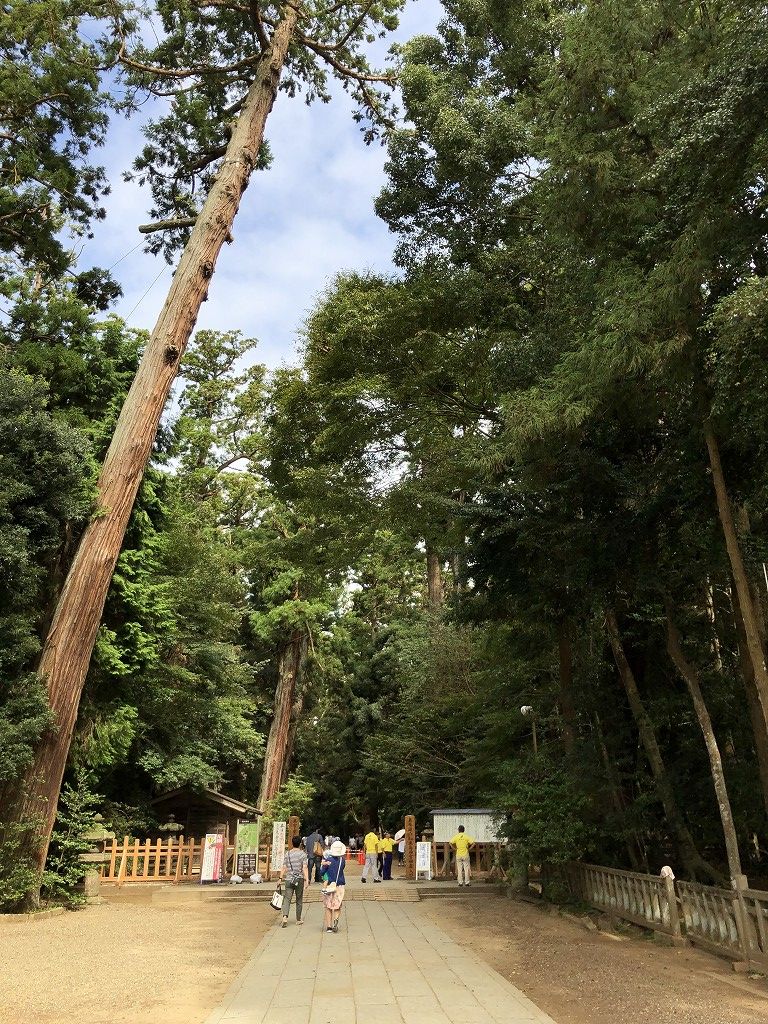 鹿島神宮の杉並木