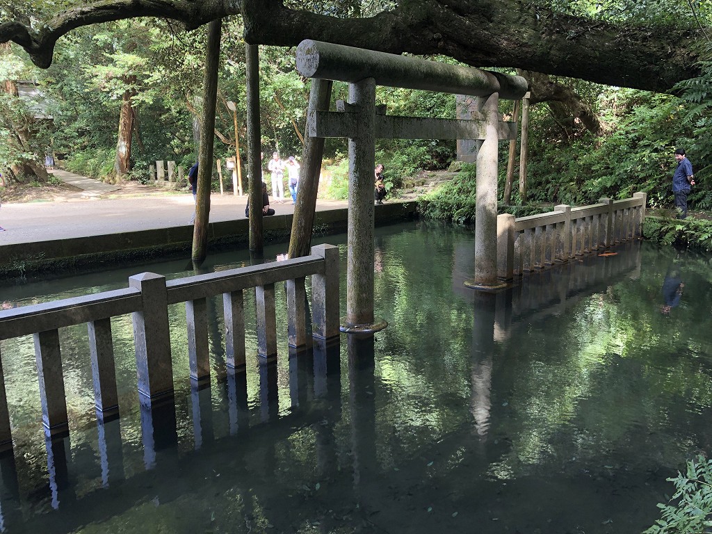 鹿島神宮の御手洗の池2